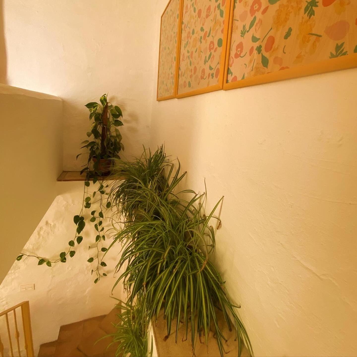 Romantic Ronda Garden Cottage Buitenkant foto
